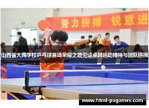 山西省大禹学校乒乓球赛场荣耀之路见证卓越运动精神与团队拼搏