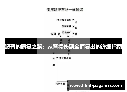 波普的康复之路：从肾损伤到全面复出的详细指南
