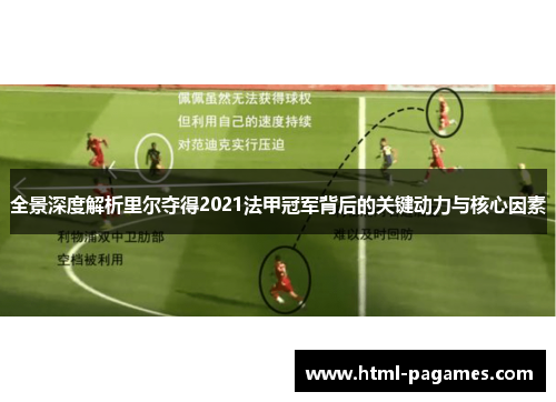 全景深度解析里尔夺得2021法甲冠军背后的关键动力与核心因素